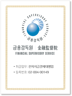 금감원 전자지급결제대행업